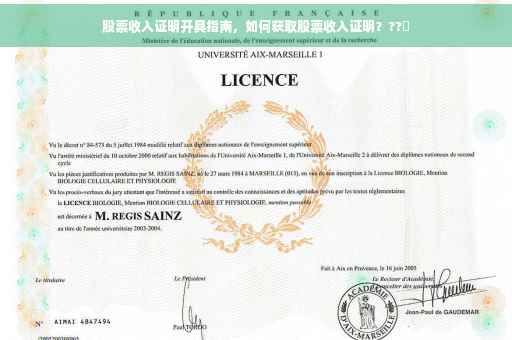 股票收入证明开具指南，如何获取股票收入证明？??️