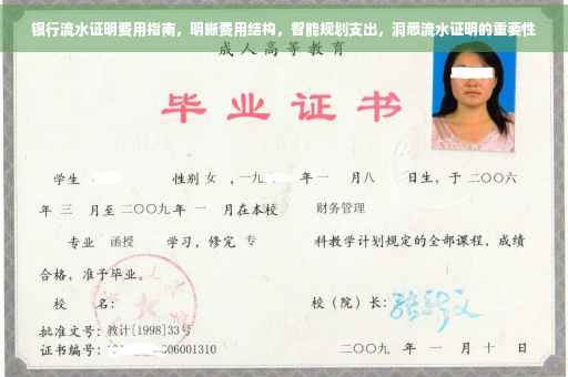 银行流水证明费用指南，明晰费用结构，智能规划支出，洞悉流水证明的重要性