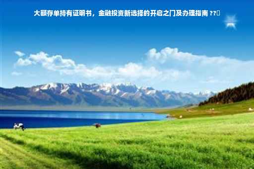 大额存单持有证明书，金融投资新选择的开启之门及办理指南 ??✨