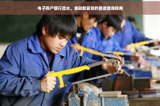 电子账户银行流水，金融新篇章的便捷查询指南