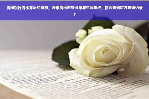 揭秘银行流水背后的真相，账单揭示财务健康与生活轨迹，能否查到对方转账记录？