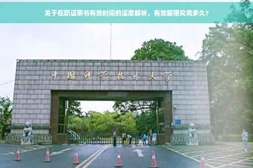 关于在职证明书有效时间的深度解析，有效期限究竟多久？