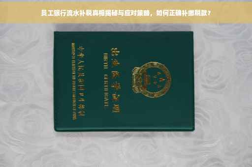 员工银行流水补税真相揭秘与应对策略，如何正确补缴税款？