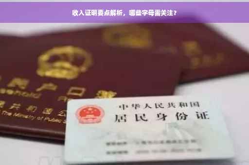 收入证明要点解析，哪些字母需关注？