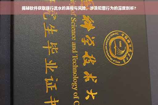 揭秘软件获取银行流水的真相与风险，涉及犯罪行为的深度剖析?