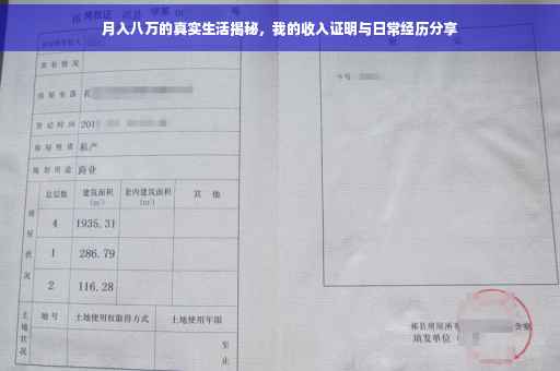 月入八万的真实生活揭秘，我的收入证明与日常经历分享