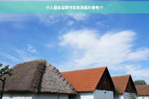 个人股东证明书范本及图片参考??