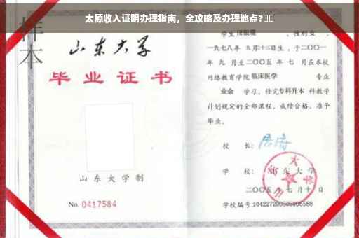 太原收入证明办理指南，全攻略及办理地点?⚡️