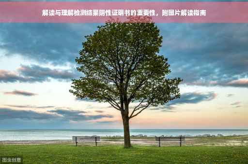 解读与理解检测结果阴性证明书的重要性，附图片解读指南
