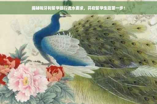 揭秘匈牙利留学银行流水要求，开启留学生涯第一步！
