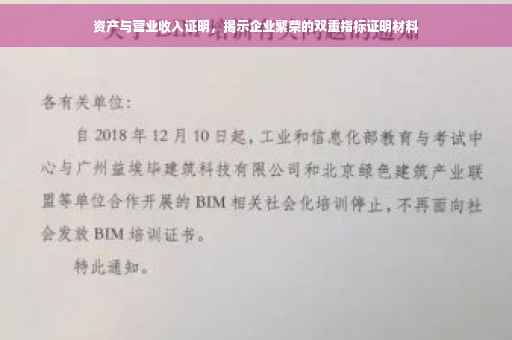 资产与营业收入证明，揭示企业繁荣的双重指标证明材料