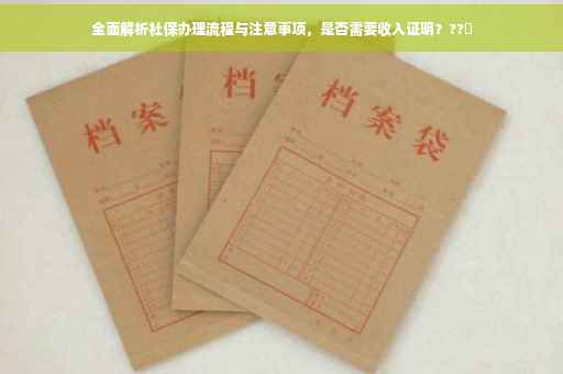 全面解析社保办理流程与注意事项，是否需要收入证明？??✨