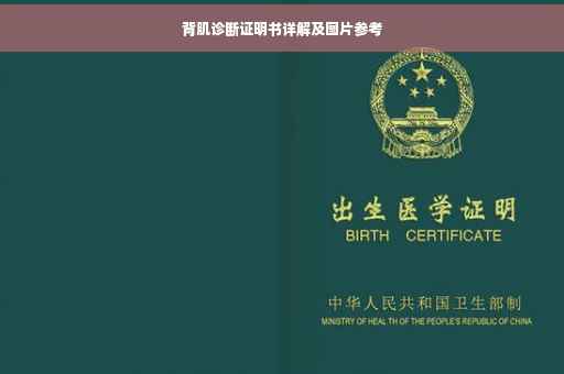 背肌诊断证明书详解及图片参考