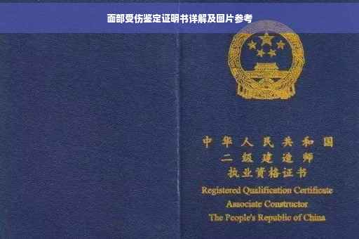 面部受伤鉴定证明书详解及图片参考
