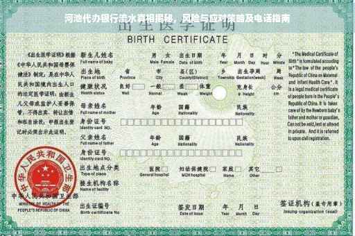 河池代办银行流水真相揭秘，风险与应对策略及电话指南