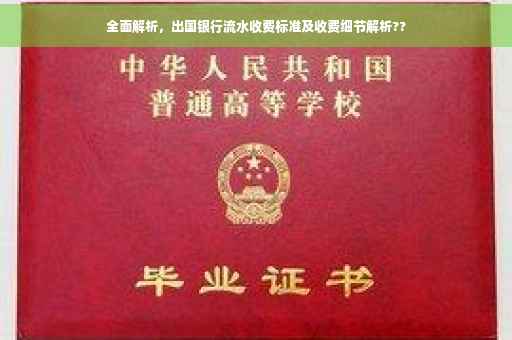 全面解析，出国银行流水收费标准及收费细节解析??