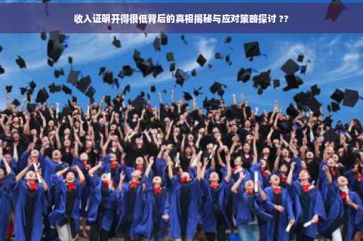 收入证明开得很低背后的真相揭秘与应对策略探讨 ??