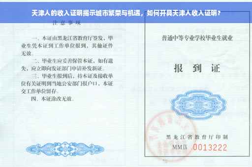 天津人的收入证明揭示城市繁荣与机遇，如何开具天津人收入证明？