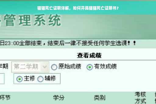 猫猫死亡证明详解，如何开具猫猫死亡证明书？