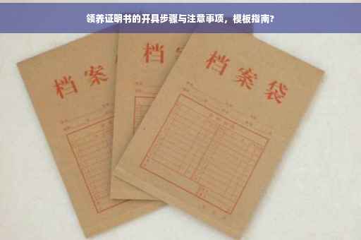 领养证明书的开具步骤与注意事项，模板指南?
