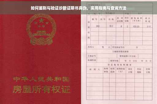 如何鉴别与验证诊断证明书真伪，实用指南与查询方法