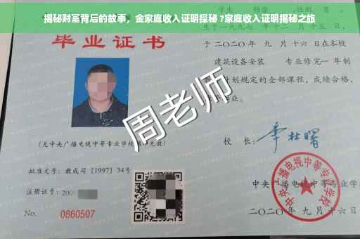 揭秘财富背后的故事，金家庭收入证明探秘 ?家庭收入证明揭秘之旅