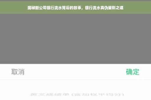 揭秘新公司银行流水背后的故事，银行流水真伪鉴别之道