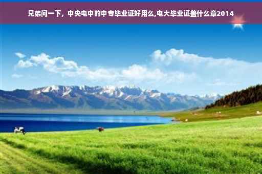 兄弟问一下，中央电中的中专毕业证好用么,电大毕业证盖什么章2014