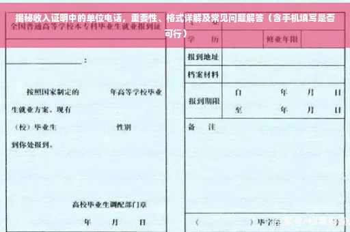 揭秘收入证明中的单位电话，重要性、格式详解及常见问题解答（含手机填写是否可行）