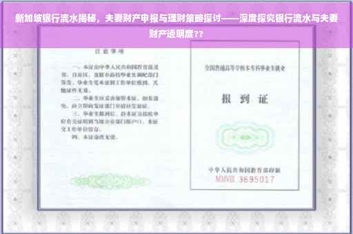 新加坡银行流水揭秘，夫妻财产申报与理财策略探讨——深度探究银行流水与夫妻财产透明度??