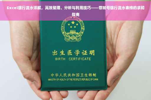 Excel银行流水详解，高效整理、分析与利用技巧——带加号银行流水表格的求和指南