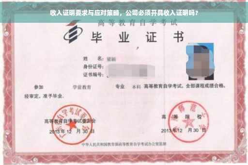 收入证明要求与应对策略，公司必须开具收入证明吗？