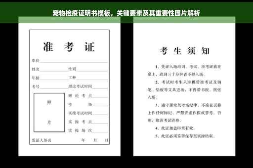 宠物检疫证明书模板，关键要素及其重要性图片解析