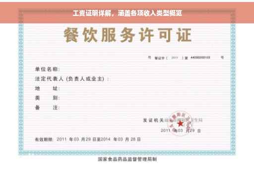 工资证明详解，涵盖各项收入类型概览