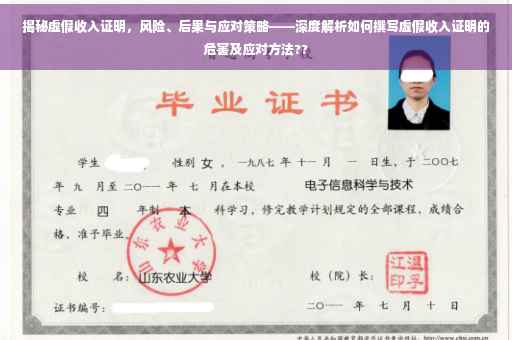 揭秘虚假收入证明，风险、后果与应对策略——深度解析如何撰写虚假收入证明的危害及应对方法??