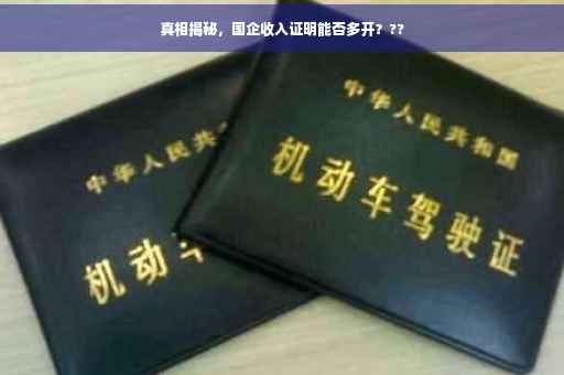 真相揭秘，国企收入证明能否多开？??