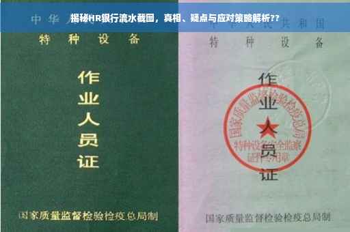 揭秘HR银行流水截图，真相、疑点与应对策略解析??