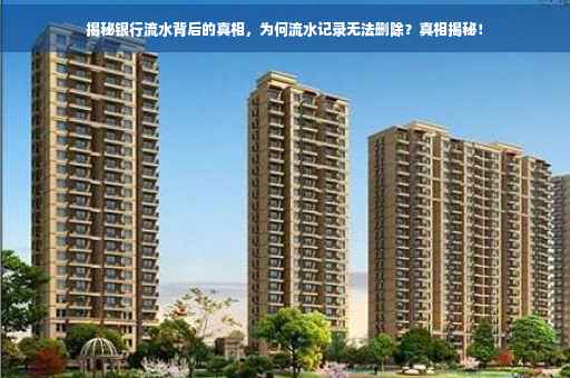 揭秘银行流水背后的真相，为何流水记录无法删除？真相揭秘！