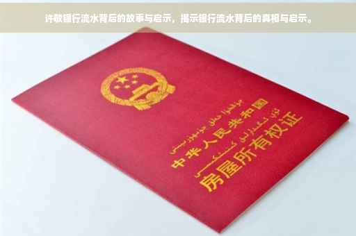 许敏银行流水背后的故事与启示，揭示银行流水背后的真相与启示。