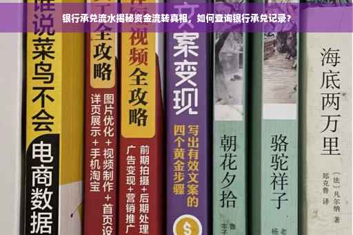 银行承兑流水揭秘资金流转真相，如何查询银行承兑记录？