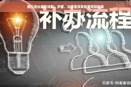 银行流水提取详解，步骤、注意事项及有用项目指南