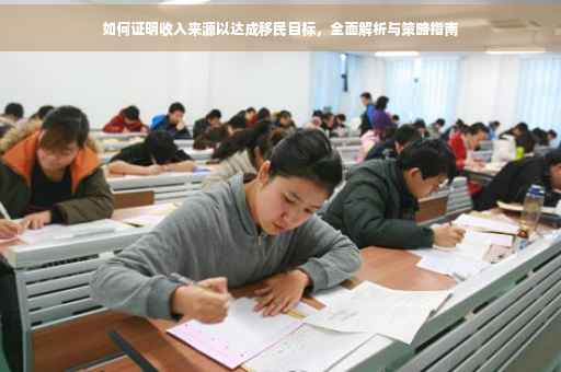 如何证明收入来源以达成移民目标，全面解析与策略指南