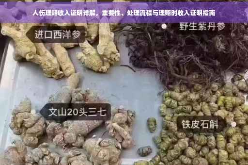 人伤理赔收入证明详解，重要性、处理流程与理赔时收入证明指南