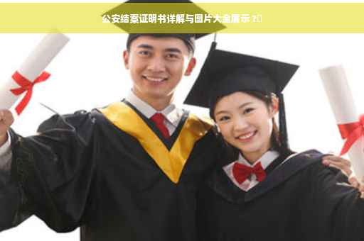 公安结案证明书详解与图片大全展示 ?✨