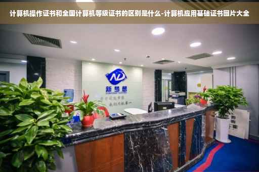 计算机操作证书和全国计算机等级证书的区别是什么-计算机应用基础证书图片大全