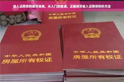 收入证明级别填写指南，从入门到精通，正确填写收入证明级别的方法
