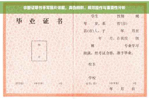 诊断证明书手写图片详解，真伪辨别、规范操作与重要性分析