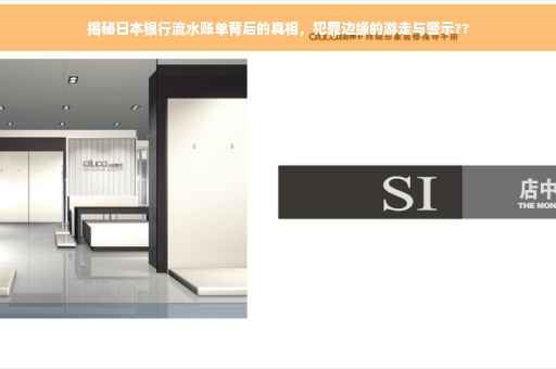 揭秘日本银行流水账单背后的真相，犯罪边缘的游走与警示??
