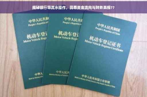 揭秘银行导流水操作，洞悉资金流向与财务真相??