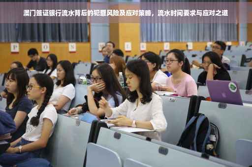澳门签证银行流水背后的犯罪风险及应对策略，流水时间要求与应对之道